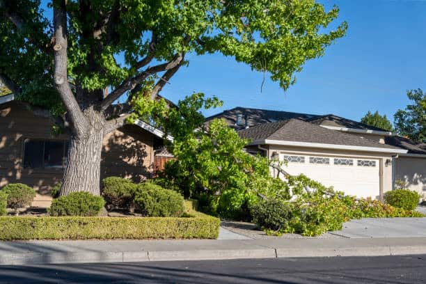 24/7 storm cleanup and emergency tree service