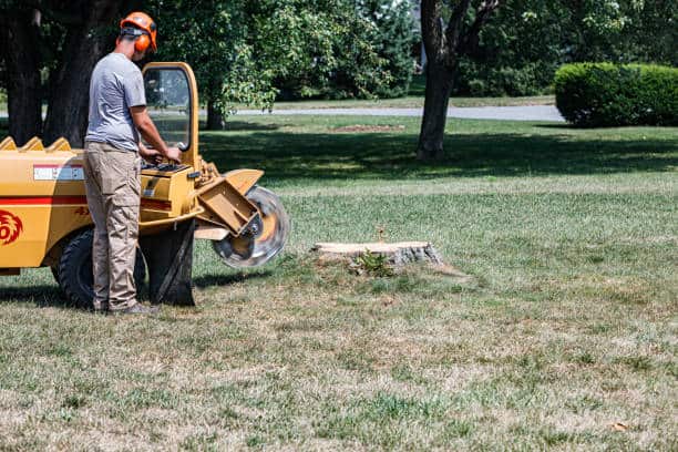 Stump grinding and hauling