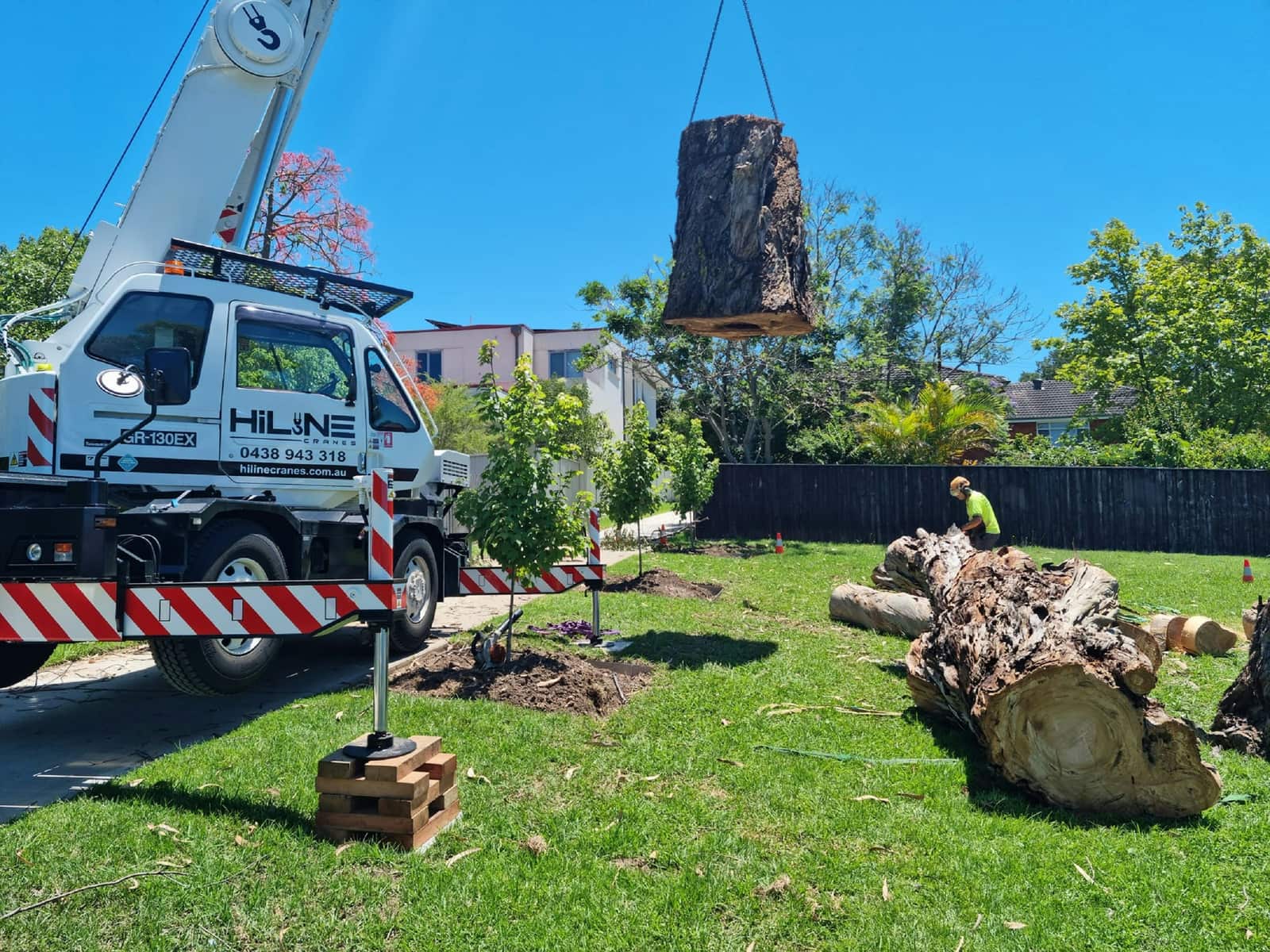 Dunlap's Tree Service working in Columbia, South Carolina